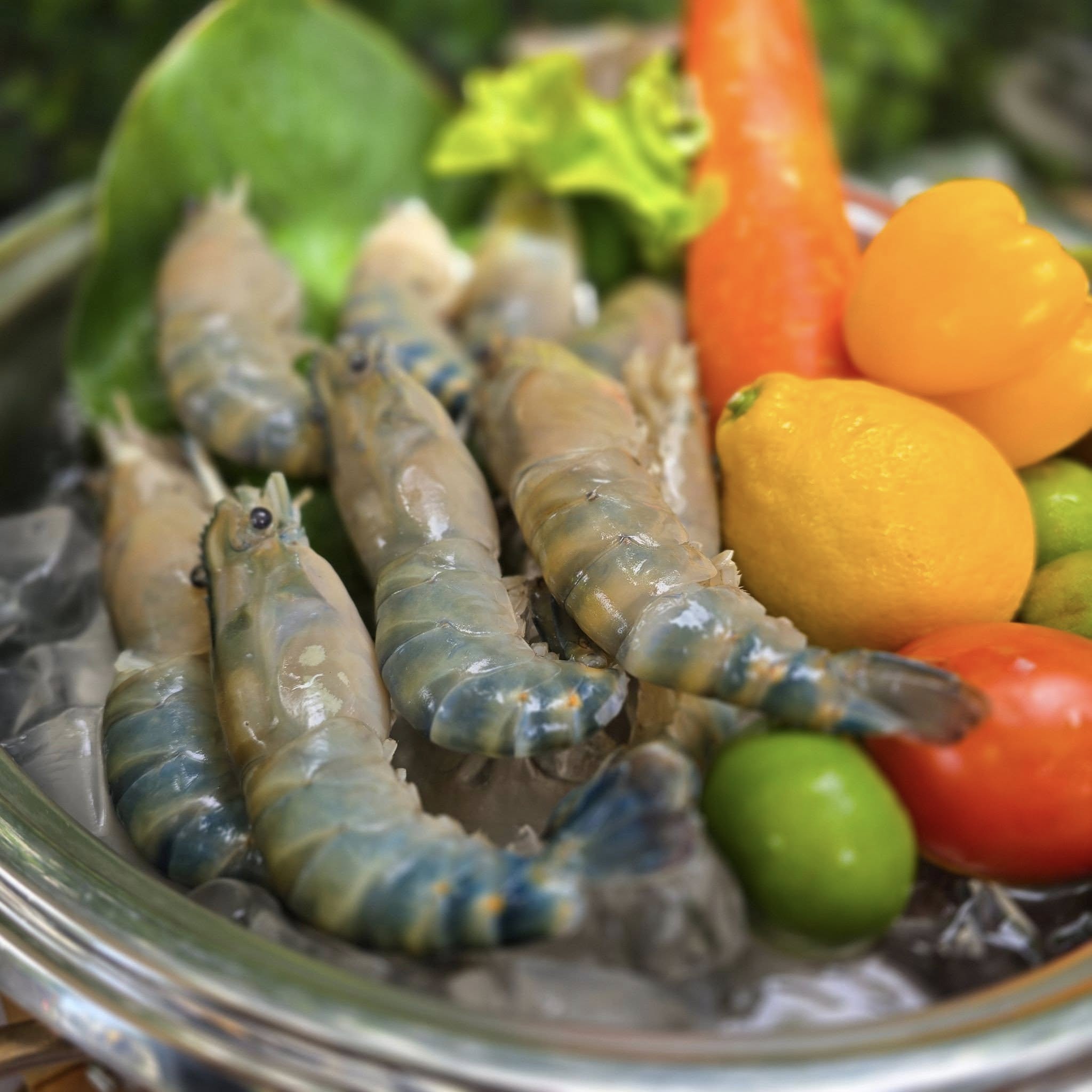 Dark Waters Rooftop Bar & Riverside New Year Eve Dinner Buffet ⎯ Lawn Zone (Dec 31st, 2025) 🎆🎊