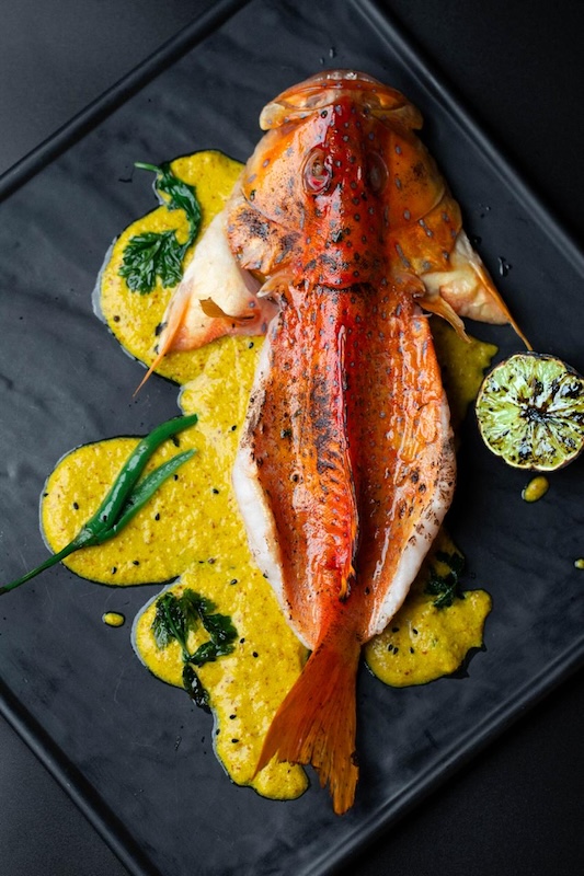 Coriander Leaf @ Craig Hungry Hub Exclusive Premium Set Menu