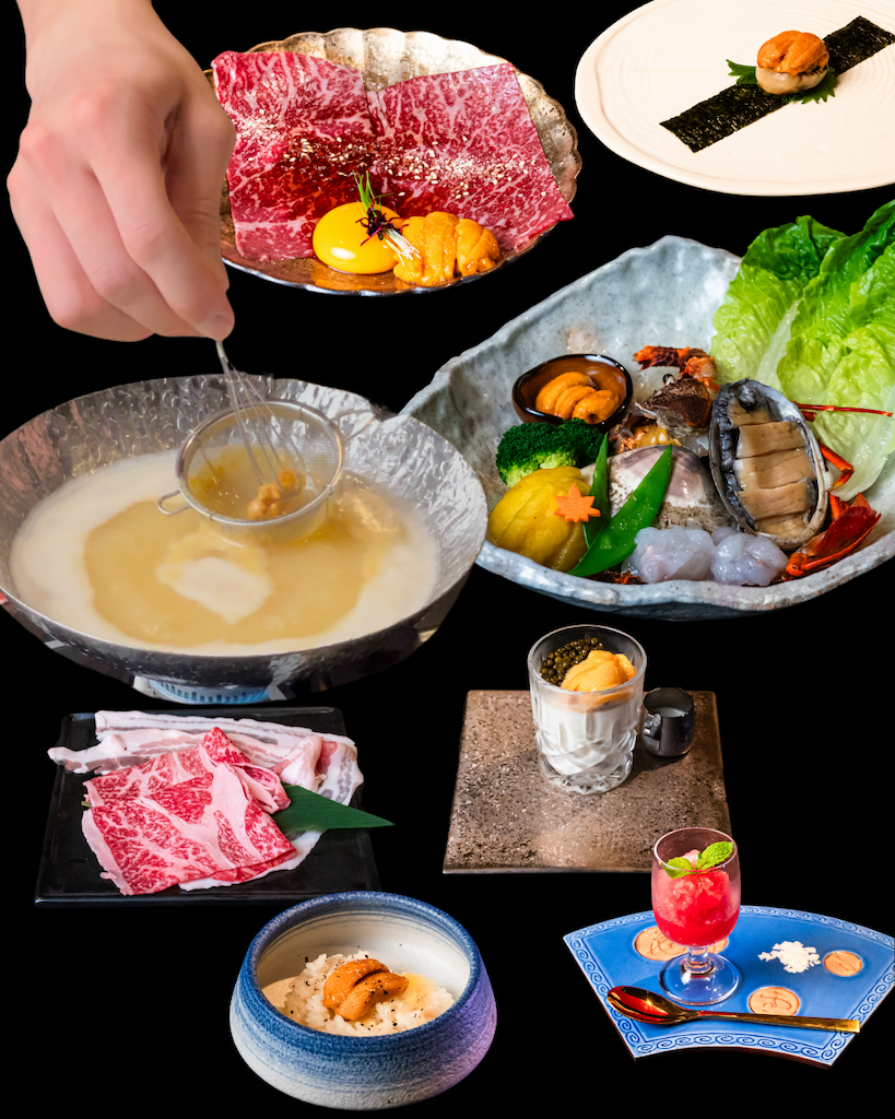 Morita UNIGORO  Platinum Individual Set