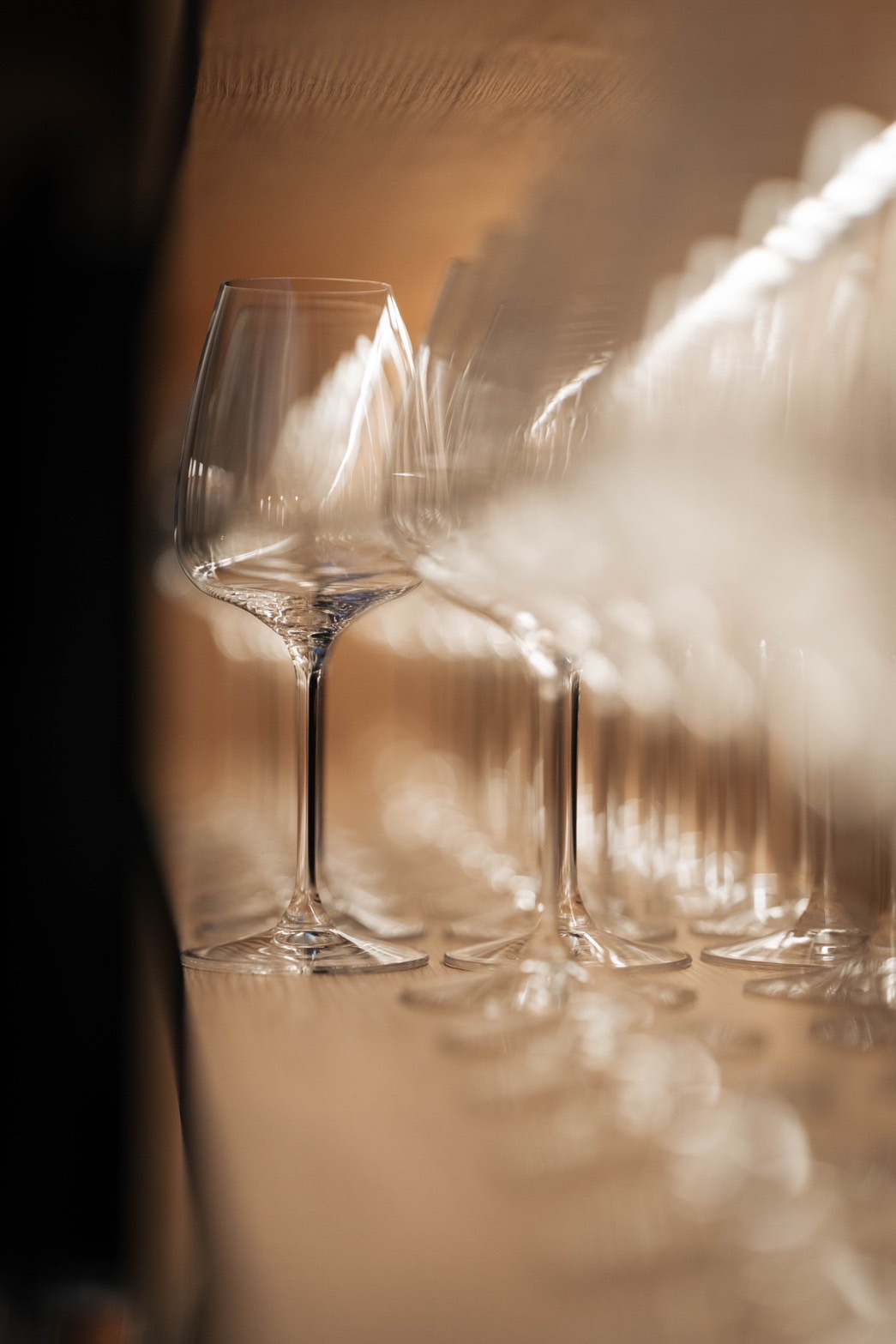 The Bottleman Wine Bar 1 Dish with 2 Glasses of Wine