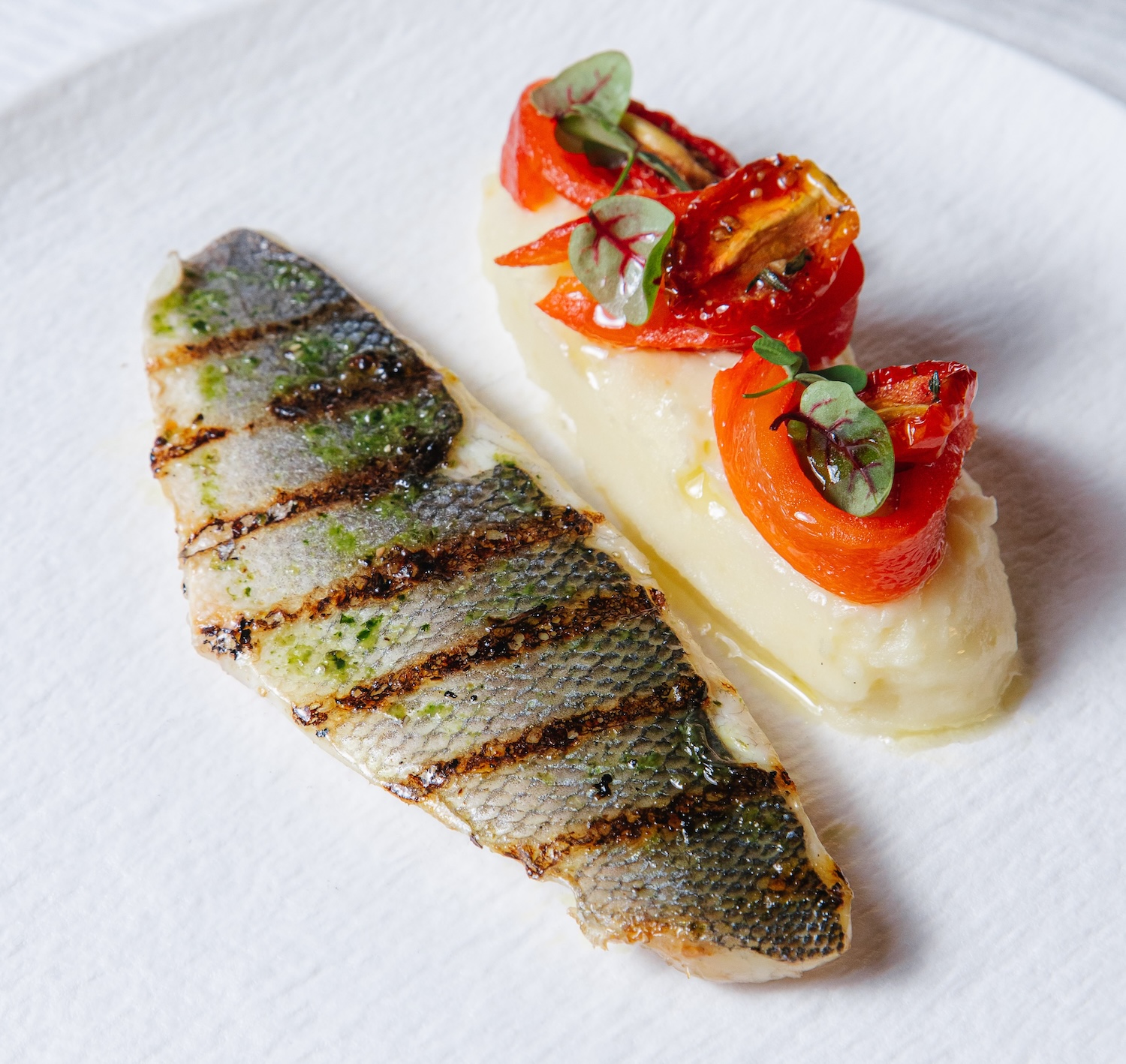 Ricci Italian Restaurant and Crudo Bar 4 Courses Dinner Set with 1 Drink