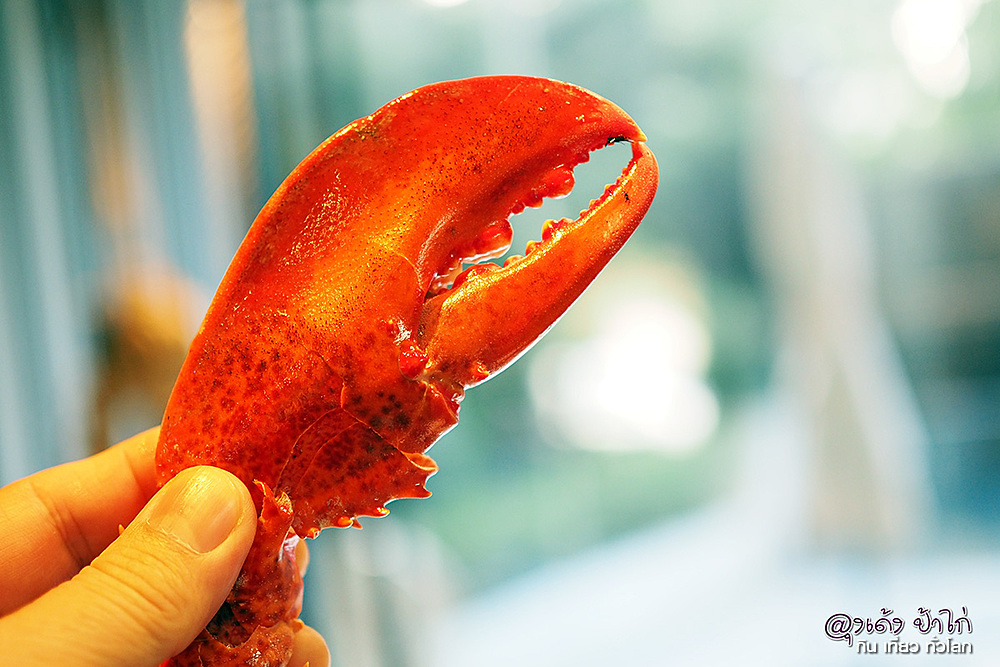 สดจริงอร่อยจริง บุฟเฟ่ต์ Crab and Claw